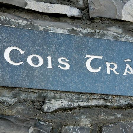 Ceol Na Mara Holiday Homes - Cois Tra & Cor Na Dtonn Енискроун Екстериор снимка